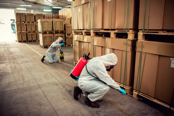 Best Exterminator Services  in Rossville, TN