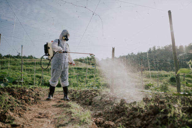 Best Ant Control Services  in Rossville, TN