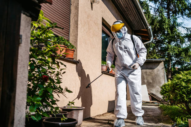 Best Pest Inspection Near Me  in Rossville, TN