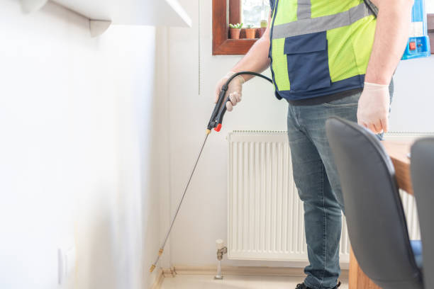 Best Affordable Pest Control Services  in Rossville, TN