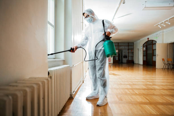 Best Pest Control Cost  in Rossville, TN