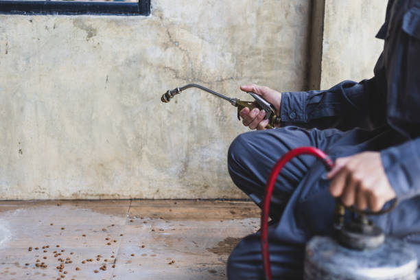 Pest Prevention Services in Rossville, TN